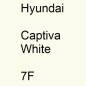 Preview: Hyundai, Captiva White, 7F.